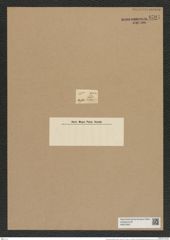 Rhizosolenia pileolus Ehrenb. (de-Toni-Nr.: Genus 114, Species 3319) Zeichnungen Sammlung Grunow Nr. 6704 (NHMW-BOT-W0375507)